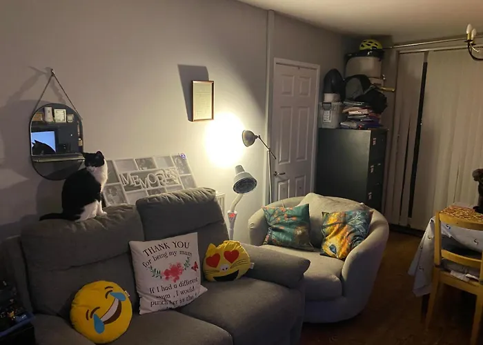 Comfortable Cat-friendly With Garden & Parking *