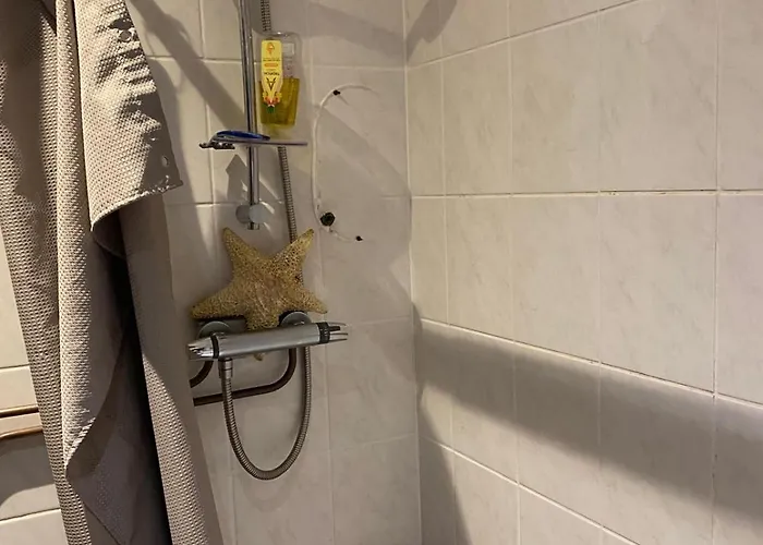 Comfortable Cat-friendly With Garden & Parking *