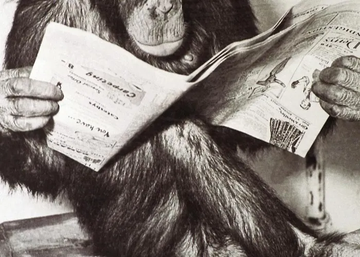 2 Bed 2 Bath Close To Ctre Sleeps 5 -free Parking מנצ'סטר