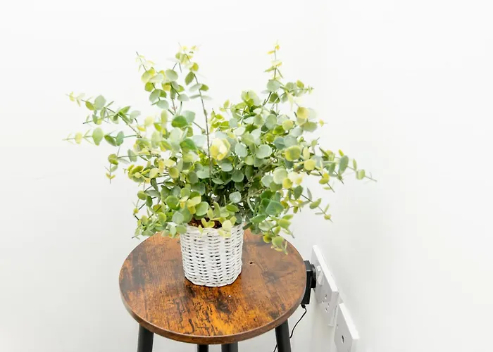 Apartment Cityside Deluxe - 3 Bedroom House Great For Family With Free Parking & Garden Manchester