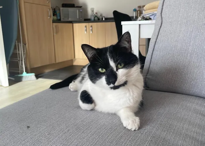 Escape - Private & Bathroom Near Etihad And Coop Arena - Free Secure Parking