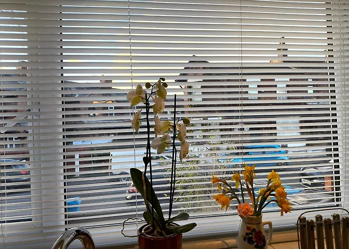 Spotless And Spacious Vakantiehuis *