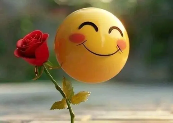 Bee Hive 홈스테이 맨체스터