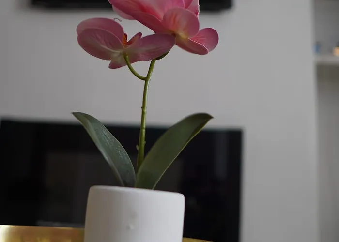 Heaven Chic * 맨체스터