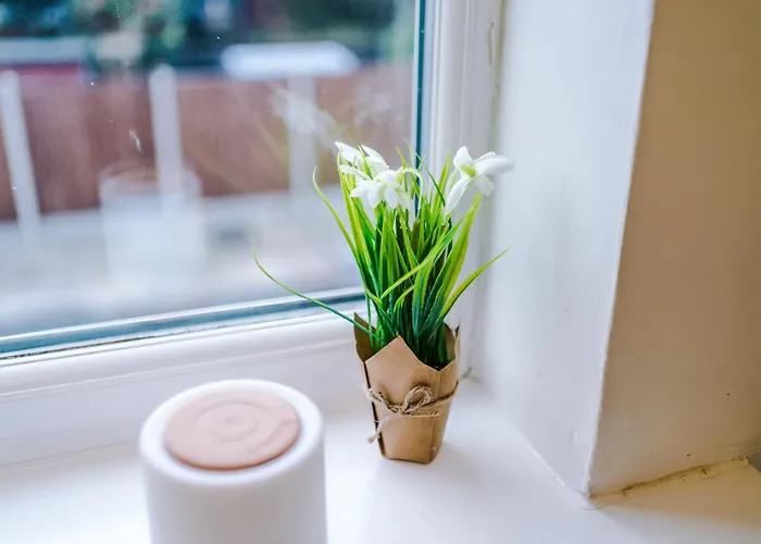 Stunning 3bedroom Home, Game Room, Free Parking, Fully Stocked, Sleeps 8