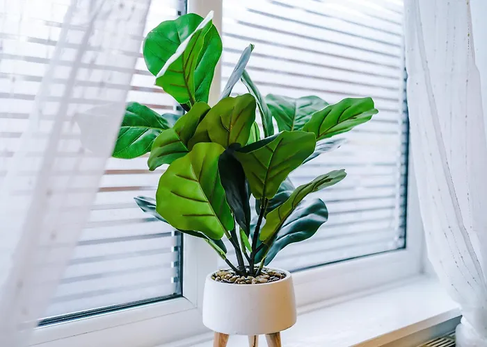 Stunning 3bedroom Home, Game Room, Free Parking, Fully Stocked, Sleeps 8 아파트