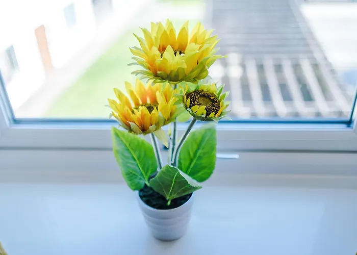 Διαμέρισμα Huge 5 Bedroom Townhouse In Salford, Free Parking, Sleeps Up To 11 Guests Μάντσεστερ