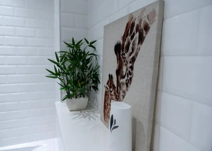 Hive Near Etihad Coop Live