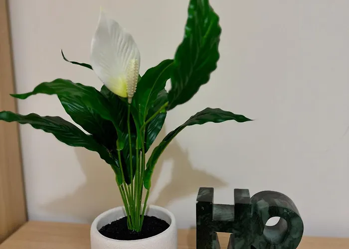 Apartament Chic Trafford Apartment, Private Underground Parking, Fast Wi-fi, Self Check-in Anytime, 5 Mins To Old Trafford Stadium *