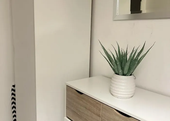 Spacious - Next To Ao Arena & Picadilly Station - Local Attractions - Free Parking