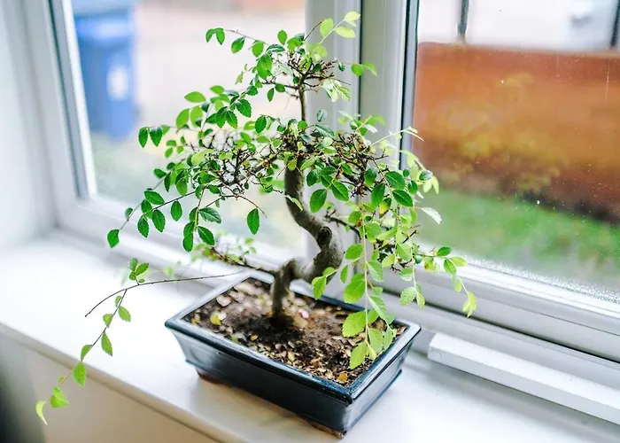 Monthly Discounted Rate Free Parking Contractors Business Travellers Wifi Apartment