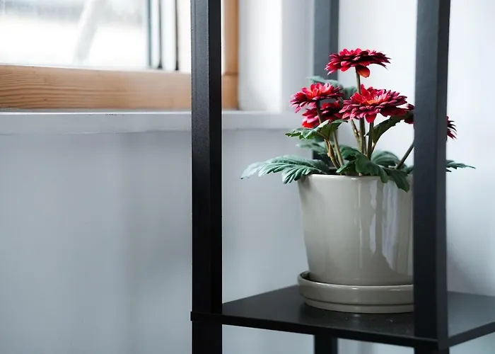 아파트 Cosy 2-Bed Apartment With Warm - Homey Vibes *