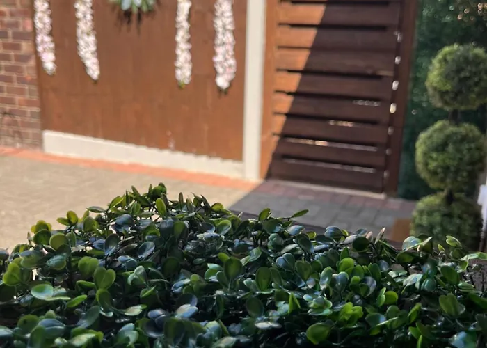 The Signature A 招待所 3*