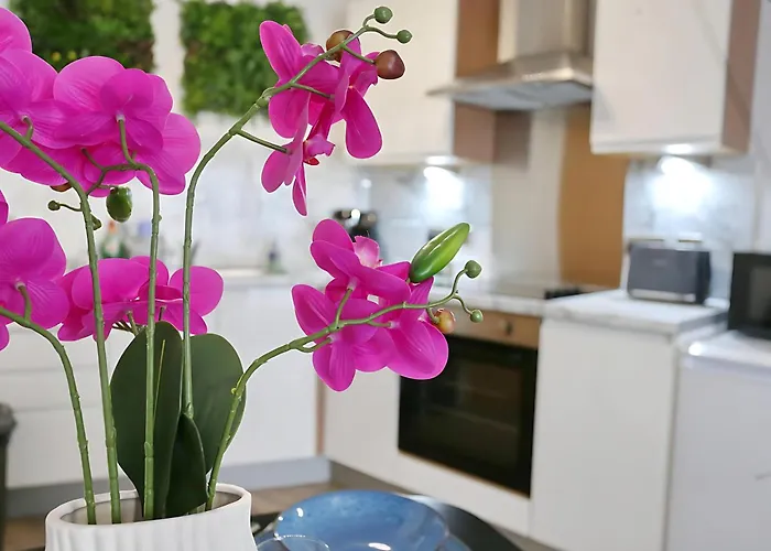 Prime Location 2-bed By Co-op Live & Ethihad - Pass The Keys *