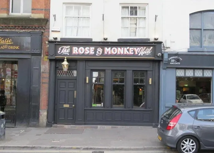 Guestready - Rose And Monkey