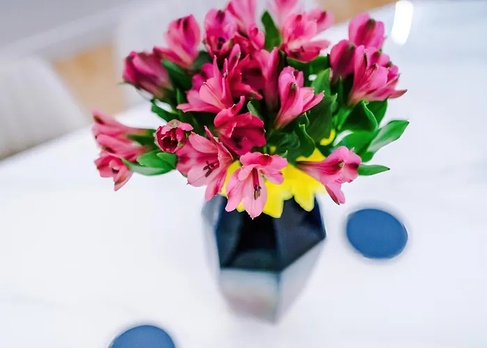 Stunning Duplex In Manchester, Workspace For Professionals Manchester