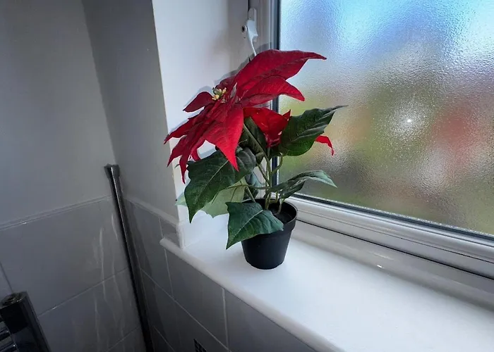 Prázdninový dům Blue Haven Manchester