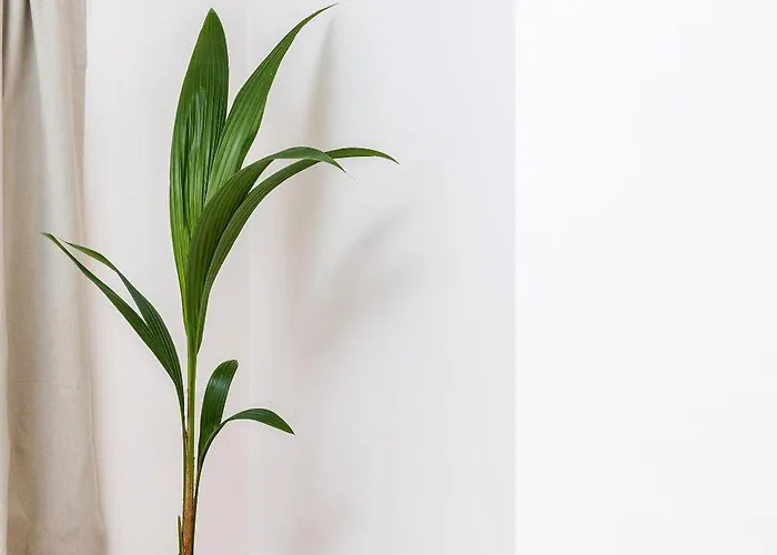 6-bedroom, 6-bathroom Contractor *