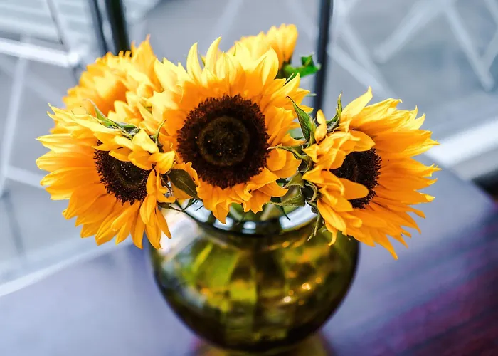 Mcr 2br 2ba, Parking, Wifi, Full Kitchen Apartamento