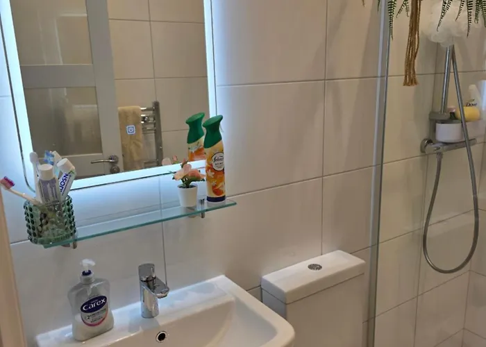 Bee Hive Flat 게스트하우스 *