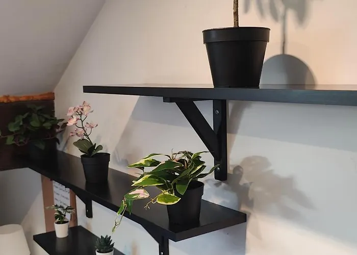 Edwardian House Kwatera prywatna