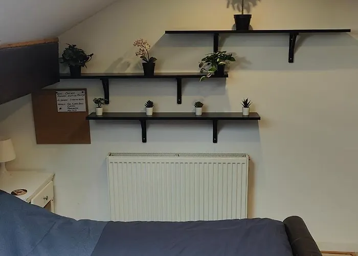 民宿 Edwardian House *