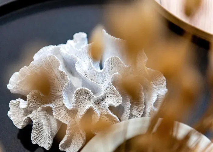 2 Bedroom Flat By Eccles Station With Communal Rooftop Garden