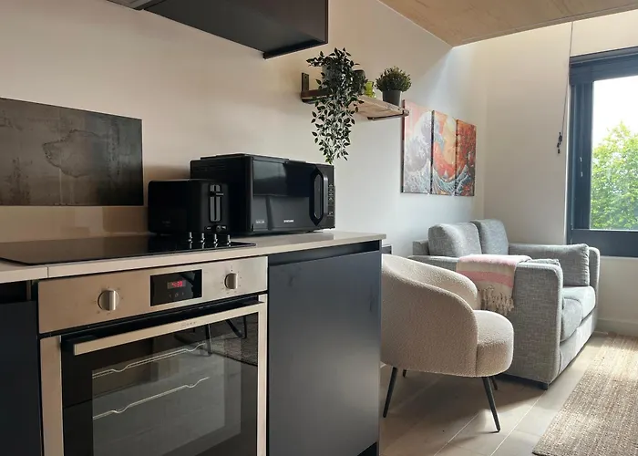 Apartman Stylish Duplex In