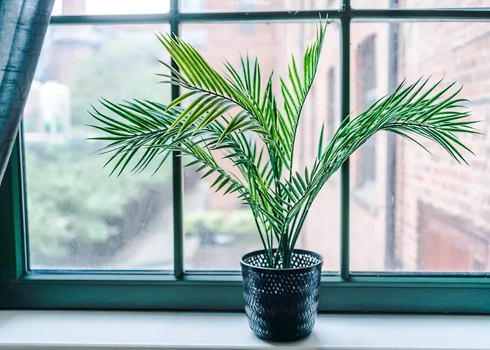 Converted Mill, Stylish In Castlefield Appartamento Manchester