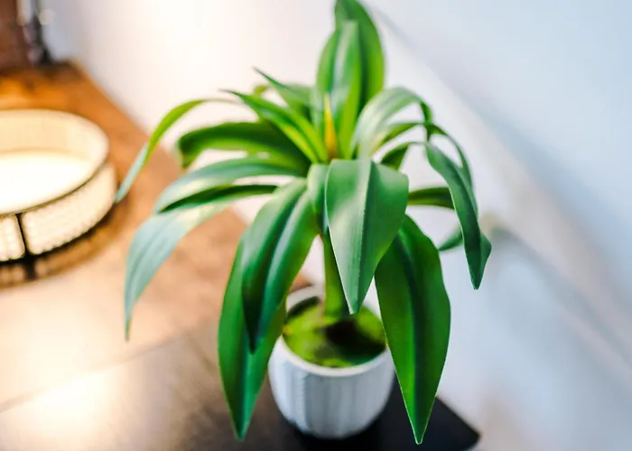 Converted Mill, Stylish In Castlefield Apartament