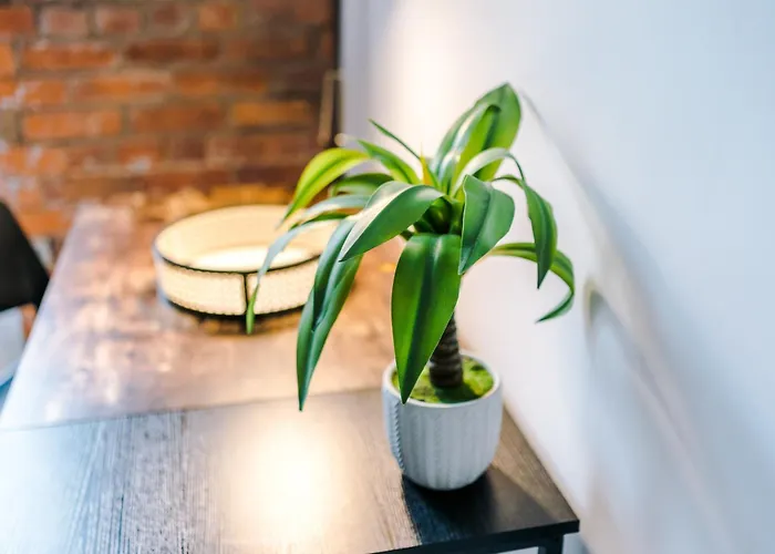 Converted Mill, Stylish In Castlefield Apartamento