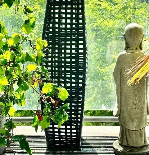 Spacious, Smart Near Centre And Coop Arena Free Parking 아파트 *