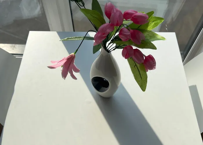 Tj Luxe Salford Manchester