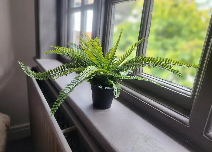 Charming Tudor White House Free Wifi * Manchester