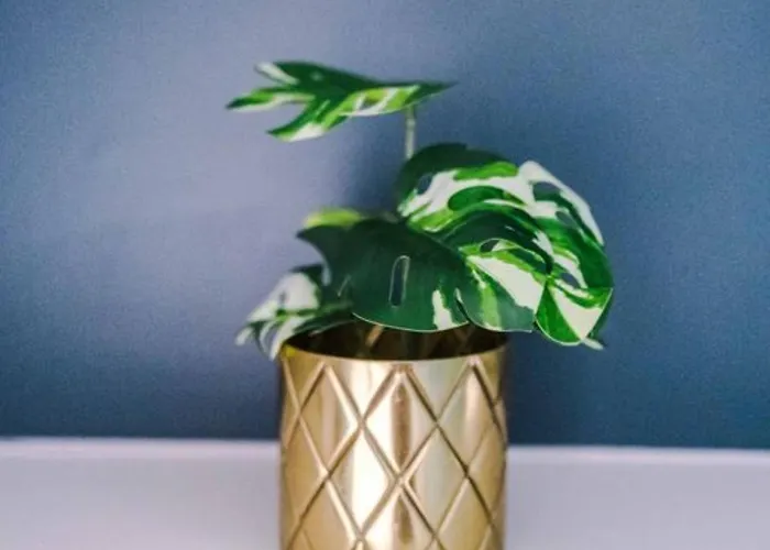 Modern Spacious Sleeps 5 Free High-speed Wi-fi Apartament *