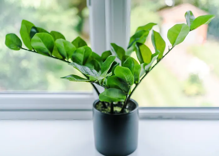 Semesterbostad Spacious Stretford 3-Bed, Driveway Parking, Pool Table, Sleeps 6 *