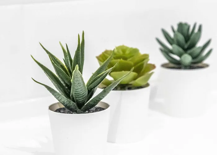 Stunning 2 Bed Near Etihad *