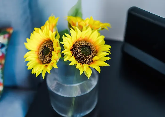 3br Salford Sleeps 7 Kitchen Parking