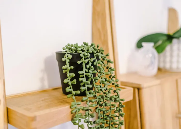 Elegant 2br Flat Near Northern Quarter 아파트