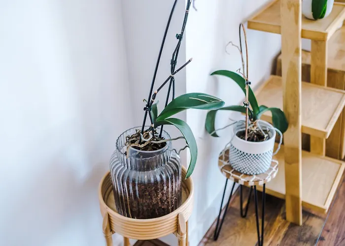 아파트 Elegant 2br Flat Near Northern Quarter