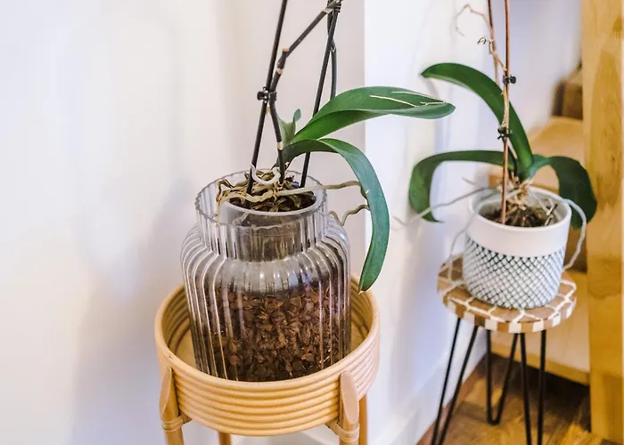 Elegant 2br Flat Near Northern Quarter 아파트