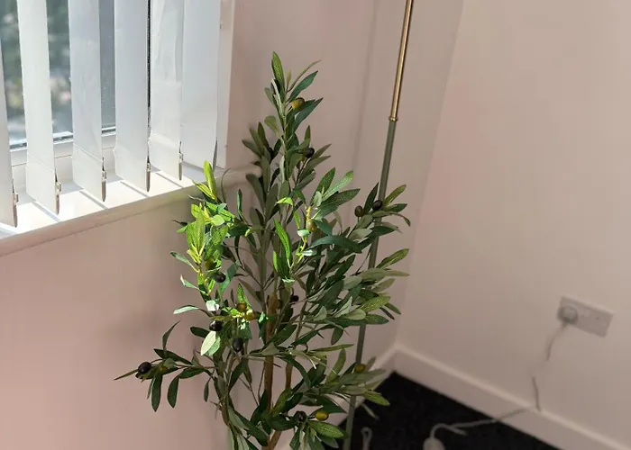 Luxury And Cosy Near Old Trafford M16 ,free Private Parking,fast Wi-fi,self Check-in Anytime Perfect For Late Arrivals, 5 Minutes To Old Trafford Stadium * 맨체스터