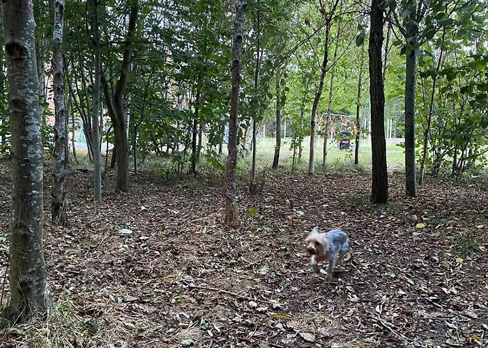 Cheerful 4-bedroom House With Multiple Car Parking Casa de Férias *