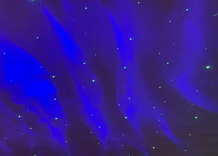 Quarto em Acomodações Particulares Comfortable Cat-friendly With Garden & Parking