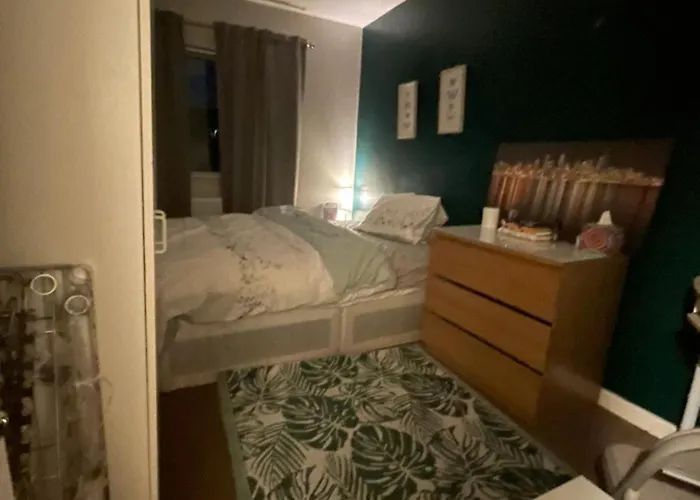 Comfortable Cat-friendly With Garden & Parking