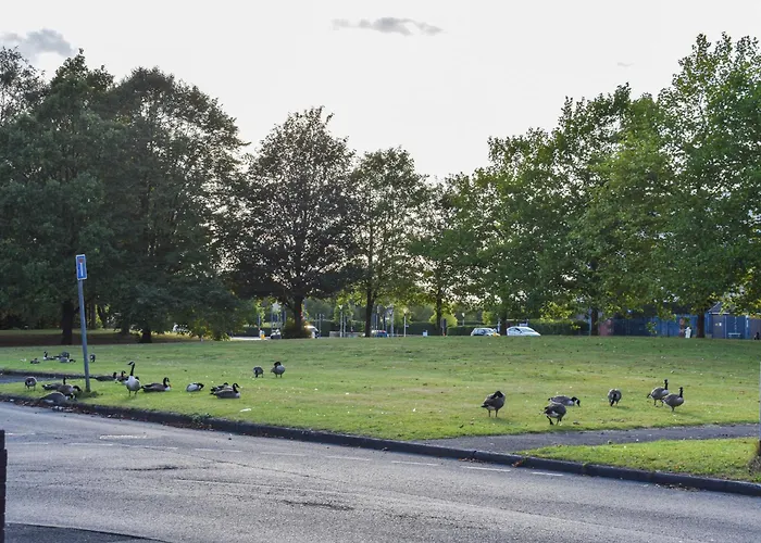 New 3 Bedroom Stylish With Drive & Garden Manchester