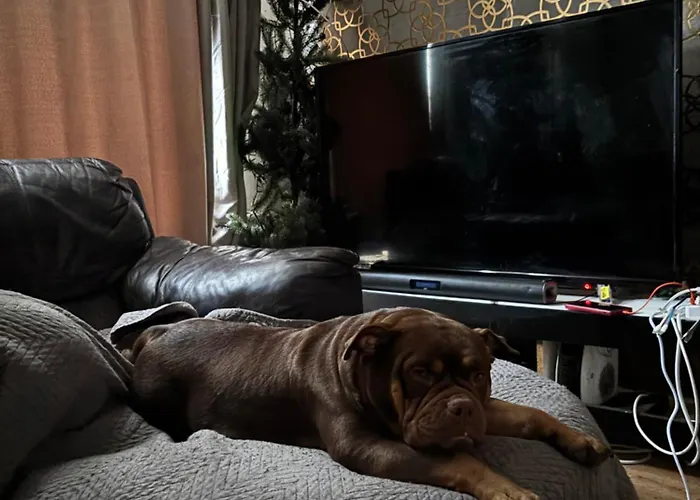 Female&family Single, Double And King Size With Shared Bathroom * Mánchester