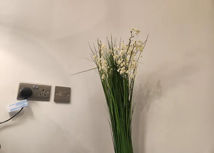 Charming Ground Floor Tudor Free Wifi