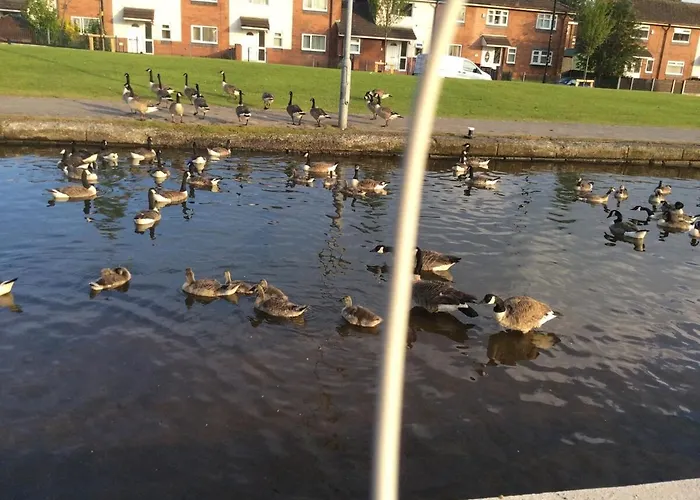 Appartement Away From