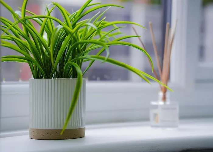 Modern 2br Flat - Parking - Sleeps 6